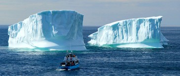F5 纽芬兰冰山超值梦幻双飞五日游